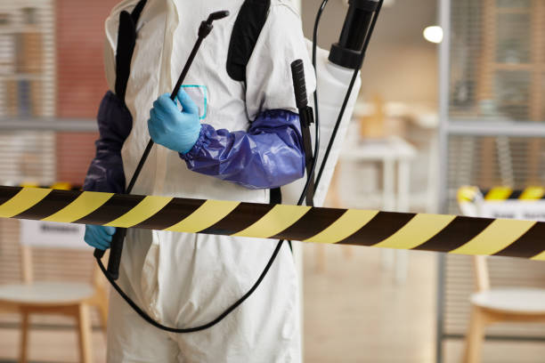 Professional Sewage Cleanup technician working in Gerald, MO